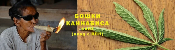 дживик Костерёво