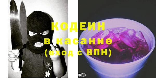 индика Корсаков