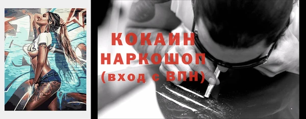 индика Корсаков