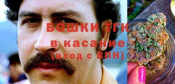 индика Корсаков