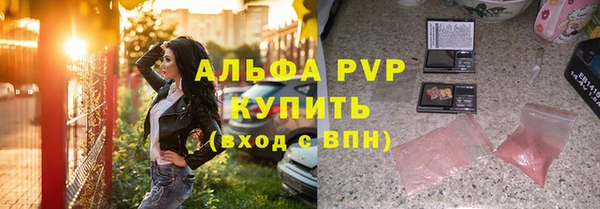индика Корсаков