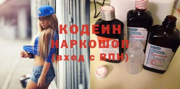 индика Корсаков