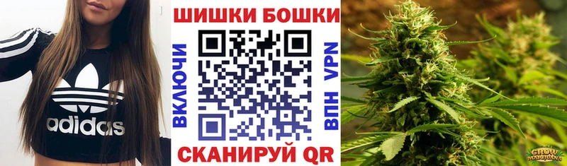 Каннабис сатива  Обоянь 